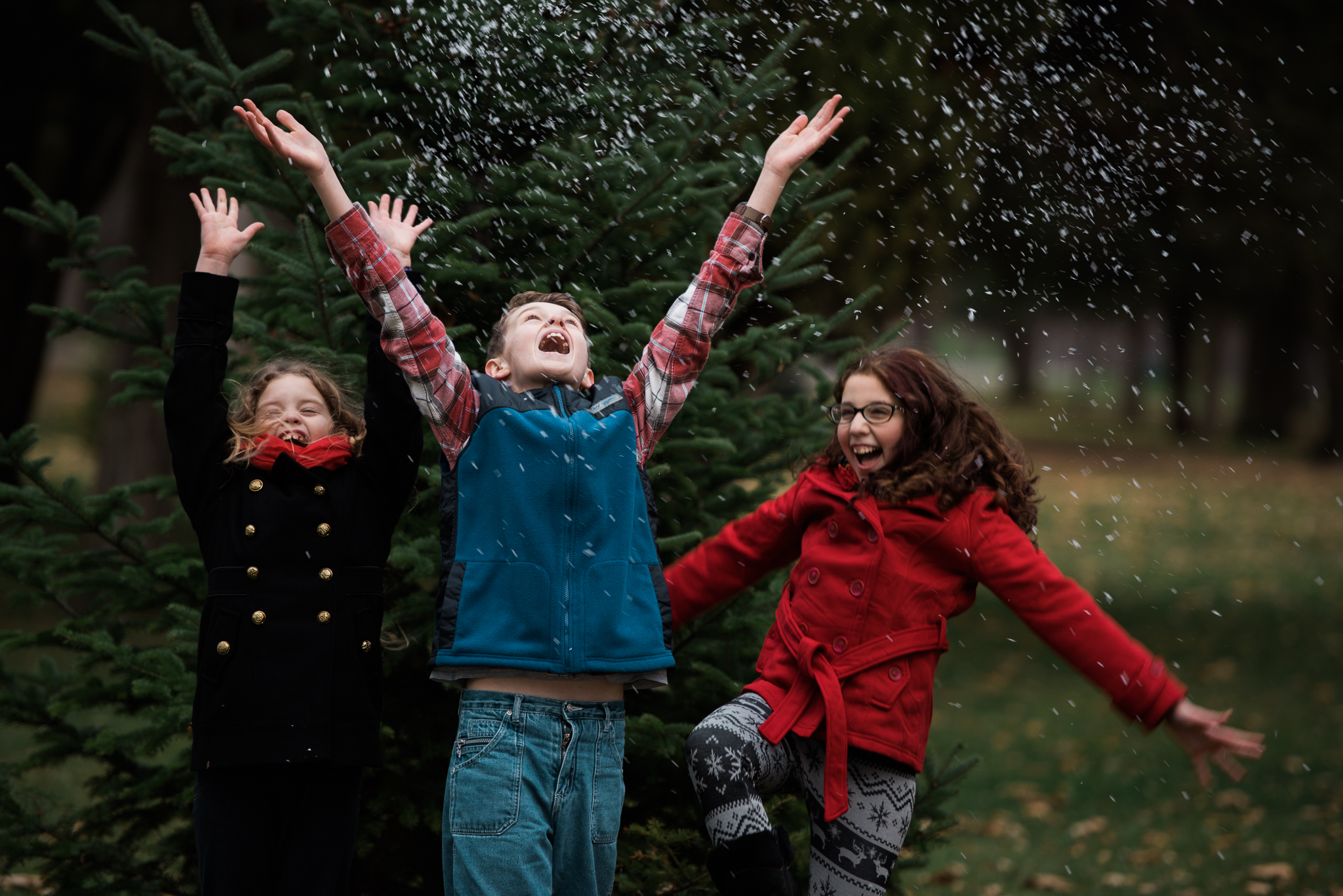 Holiday Mini Sessions | Buffalo Photo Studio Image